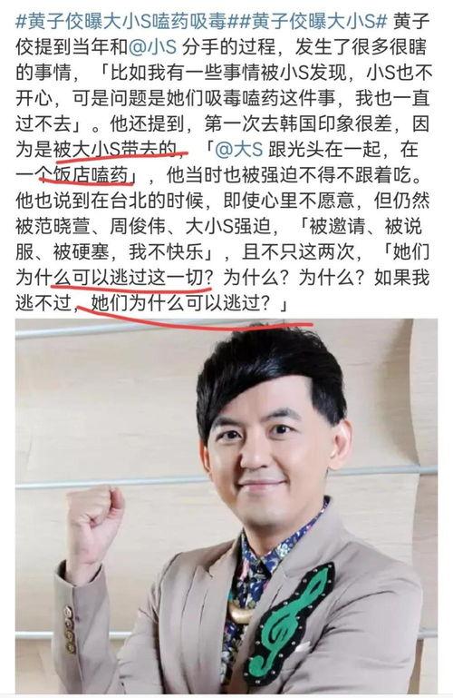 黄子佼毁灭式爆料全视频,毁灭式爆料背后的真相与影响